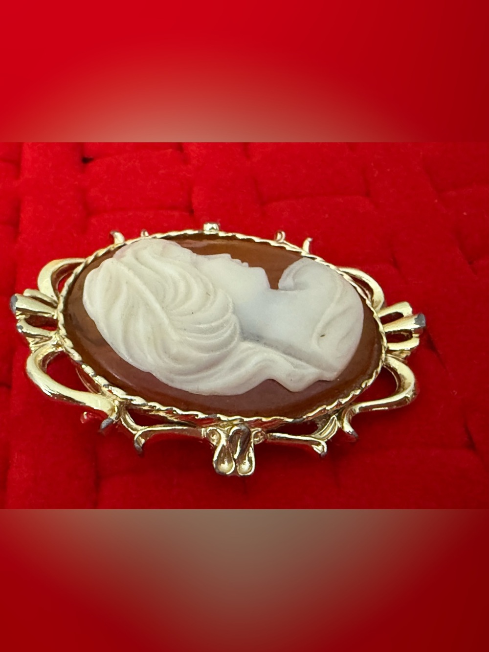 Gerry’s Vintage Gold-Tone Brown and White Cameo Brooch - Women Jewelry